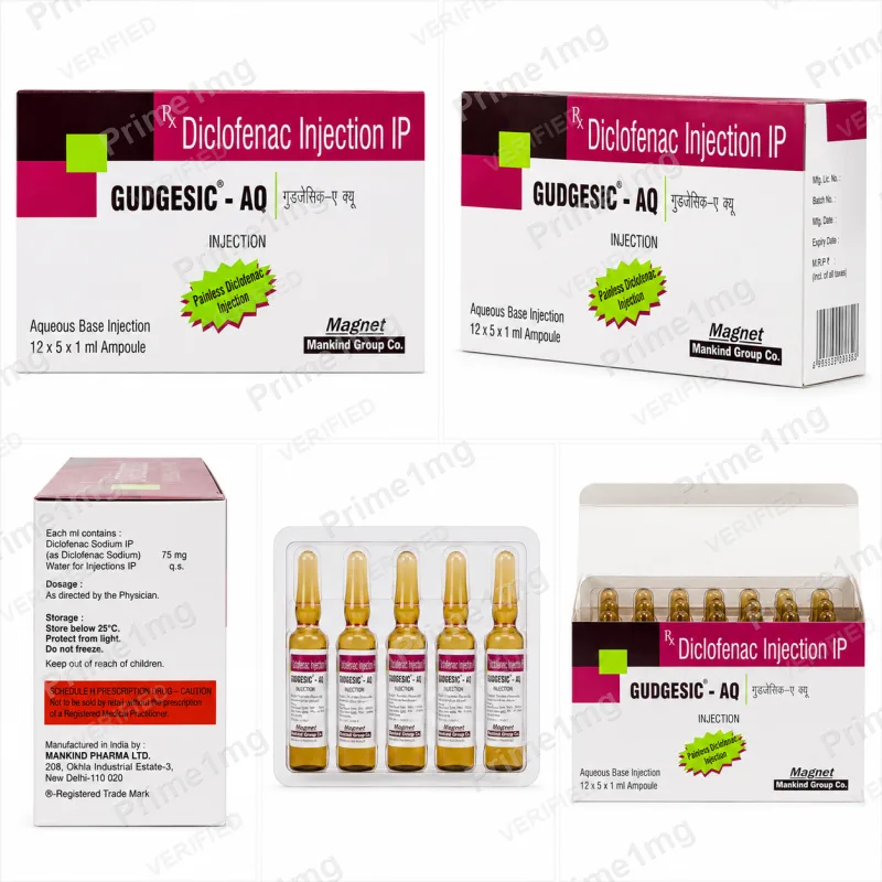 Gudgesic AQ Injection - Image 2