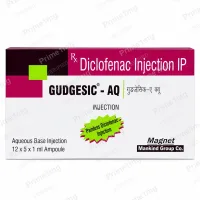Gudgesic AQ Injection